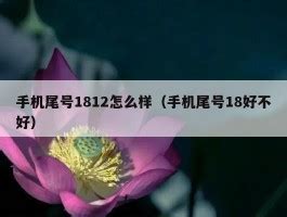 24意思|24数字寓意好不好